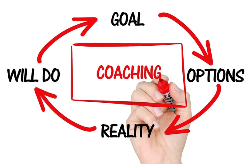 Webinars & Workshops